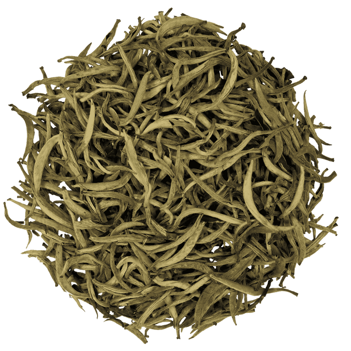 Silver needle - t leaf T | teas and infusions from around the world